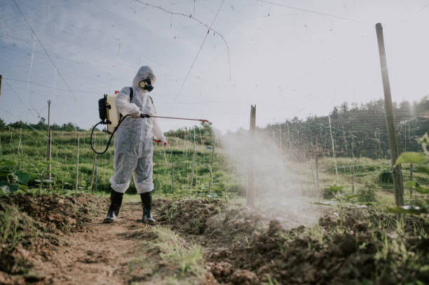 Best Pest Control Cost  in Banner Hill, TN