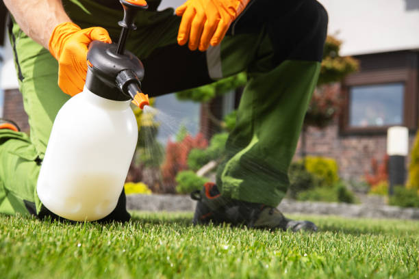 Best Affordable Pest Control Services  in Banner Hill, TN