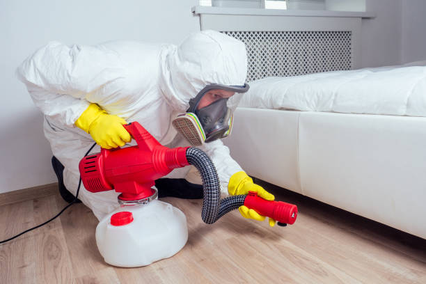 Best Pest Control Near Me  in Banner Hill, TN