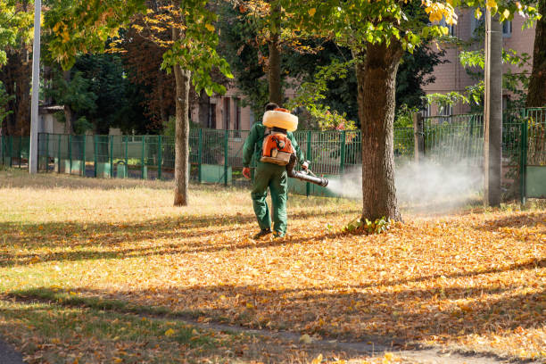 Best Cockroach Control Services  in Banner Hill, TN