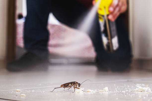Pest Control Cost in Banner Hill, TN
