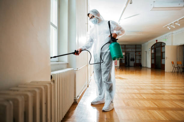 Flea Control Services in Banner Hill, TN
