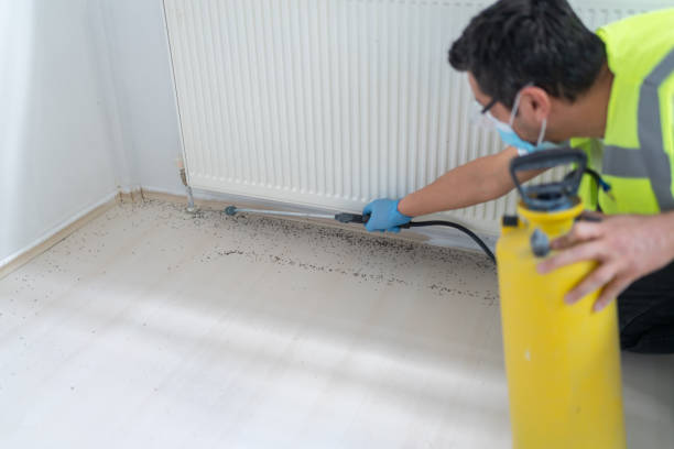 Reliable Banner Hill, TN Pest Control Solutions
