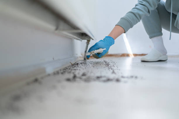 Best Emergency Pest Control  in Banner Hill, TN