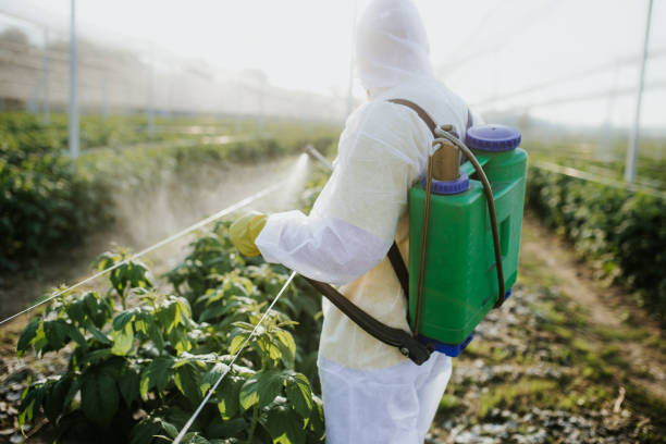 Pest Prevention Services in Banner Hill, TN